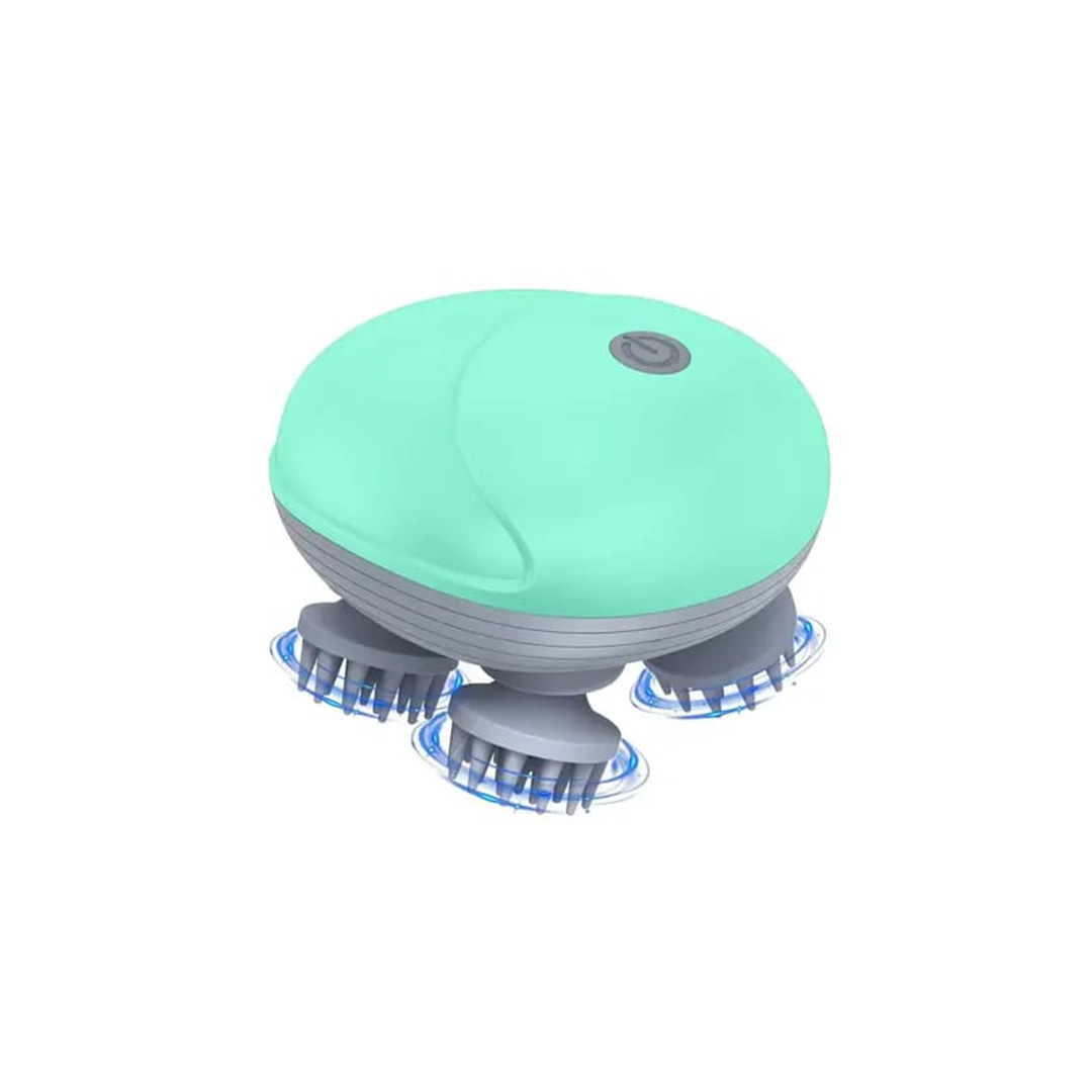 Past Smart Scalp Massager - Past - Image 1